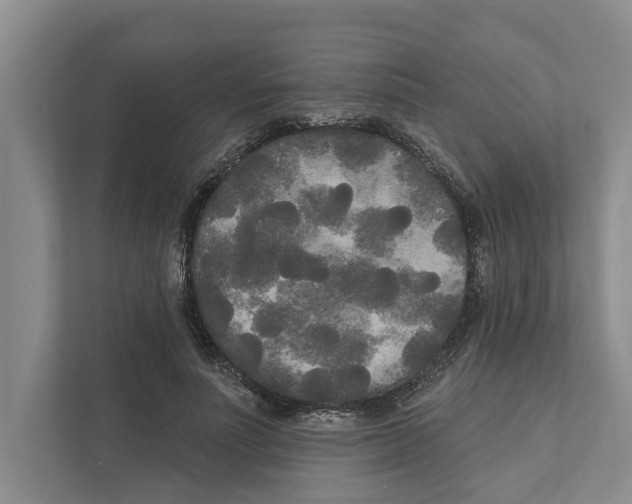 X0000111170691200907291123