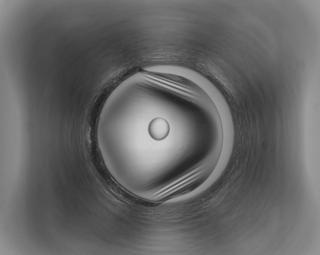 X0000111170692200907291123