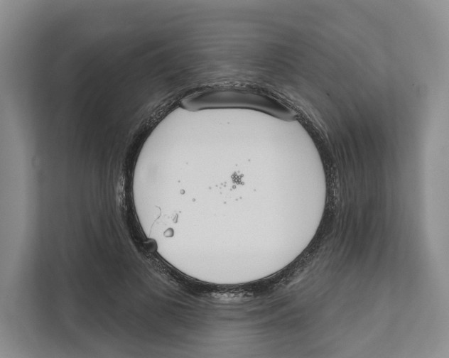 X0000111170693200907291123