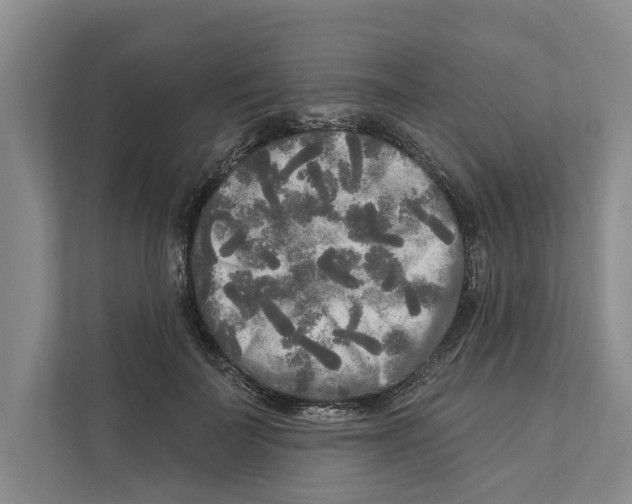 X0000111170699200907291123