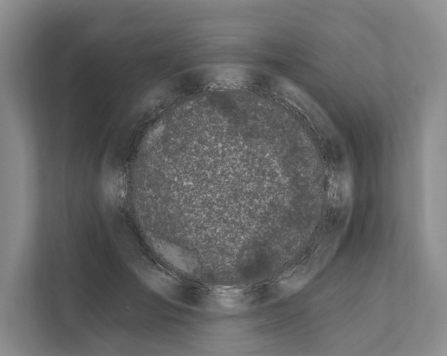 X0000111170701200907291123