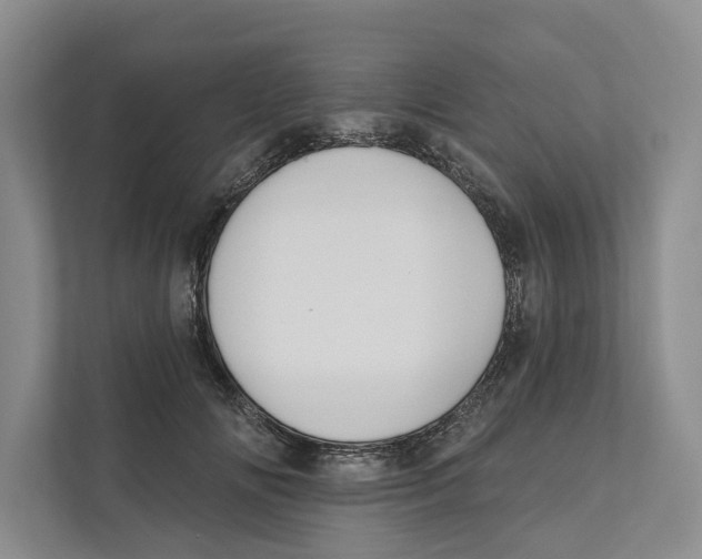 X0000111170702200907291123