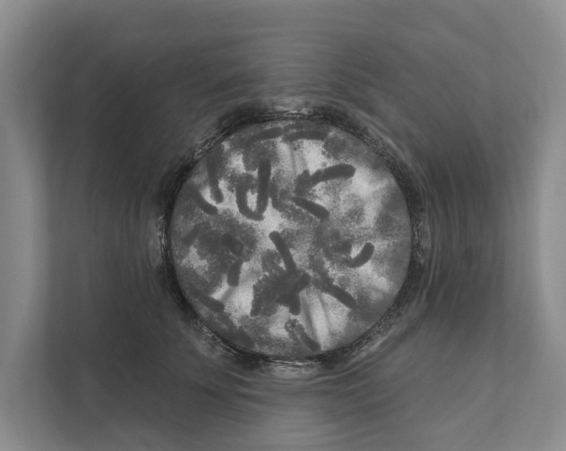 X0000111170707200907291123