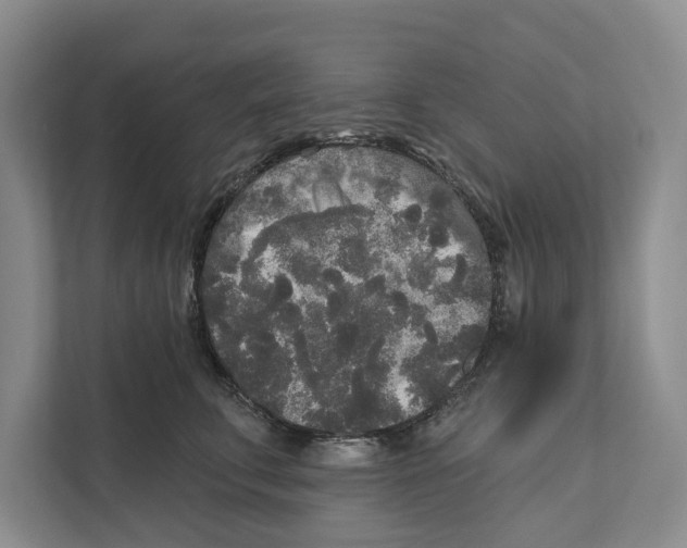 X0000111170711200907291123