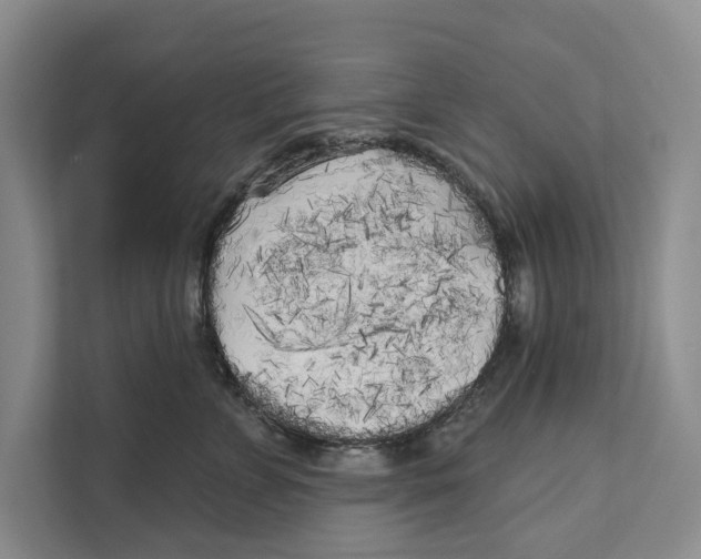 X0000111170715200907291123