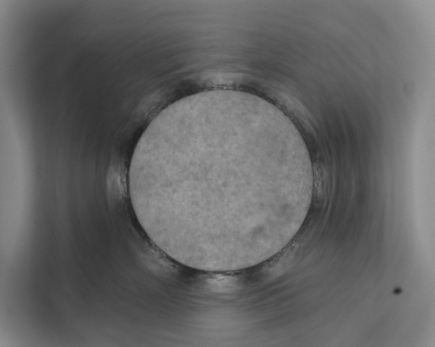 X0000111170718200907291123