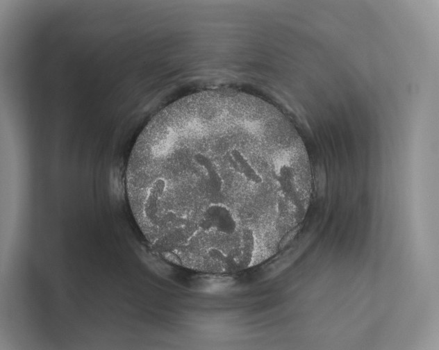 X0000111170719200907291123