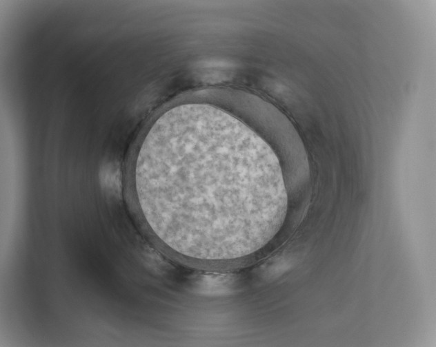 X0000111170720200907291123