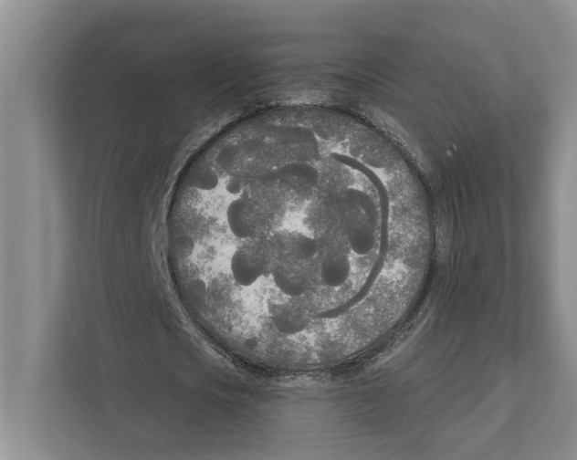 X0000111170721200907291122