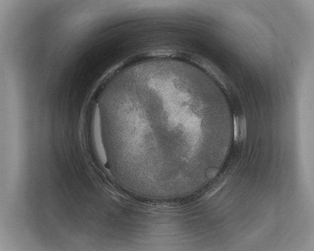 X0000111170723200907291122