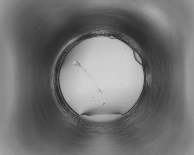 X0000111170724200907291122