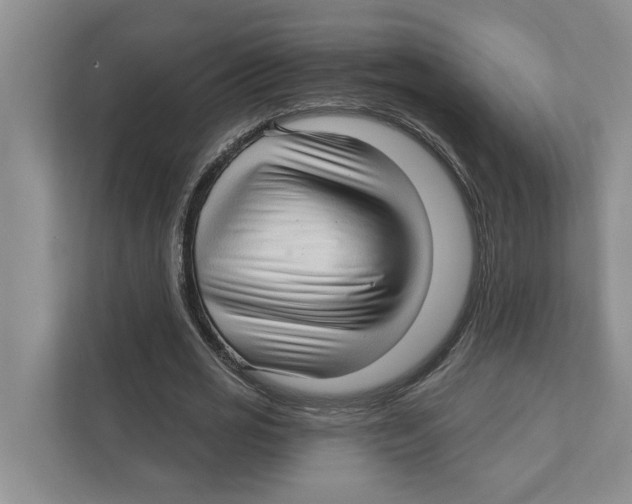 X0000111170725200907291122