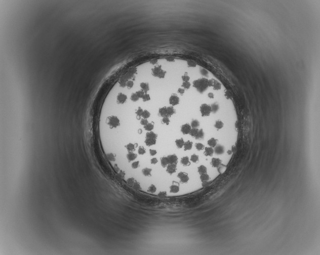X0000111170727200907291122