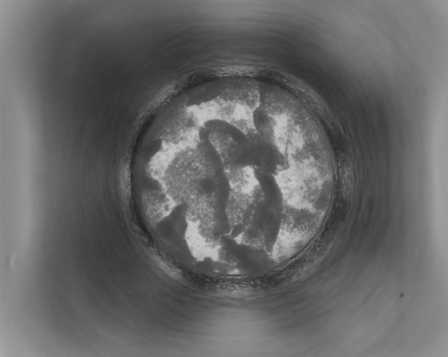 X0000111170729200907291122