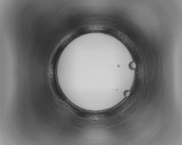 X0000111170731200907291123