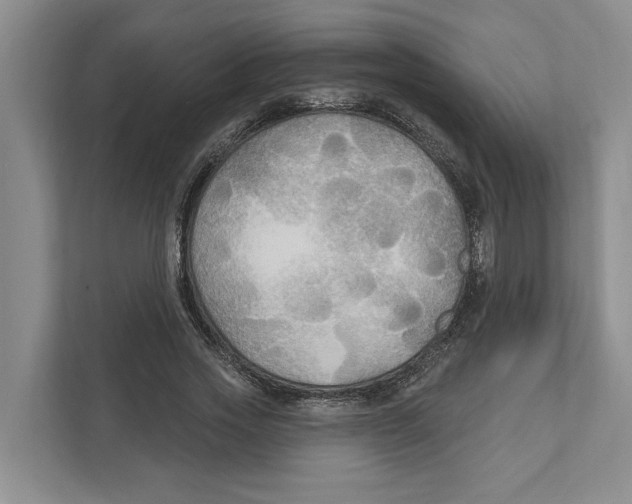 X0000111170733200907291123