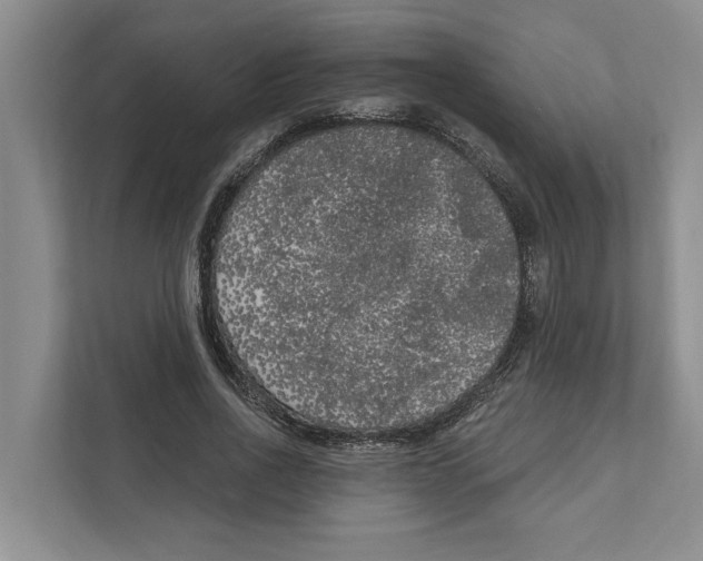 X0000111170734200907291123