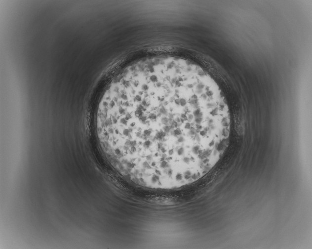 X0000111170735200907291123
