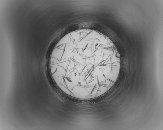X0000111170738200907291123