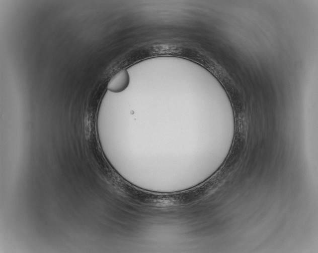 X0000111170741200907291123