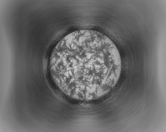 X0000111170742200907291123