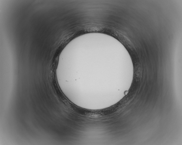 X0000111170743200907291123