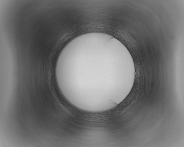 X0000111170744200907291123