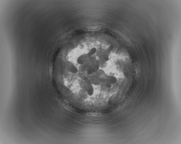 X0000111170745200907291123