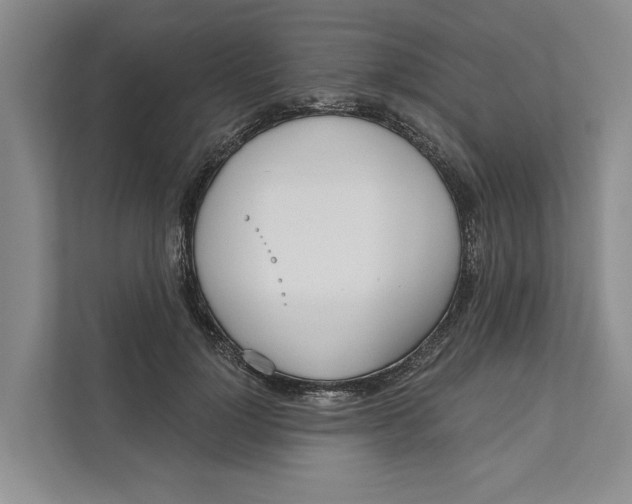 X0000111170748200907291123