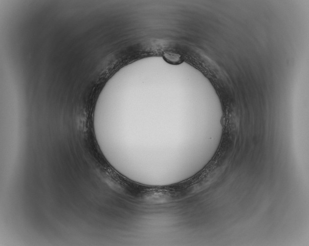 X0000111170750200907291123