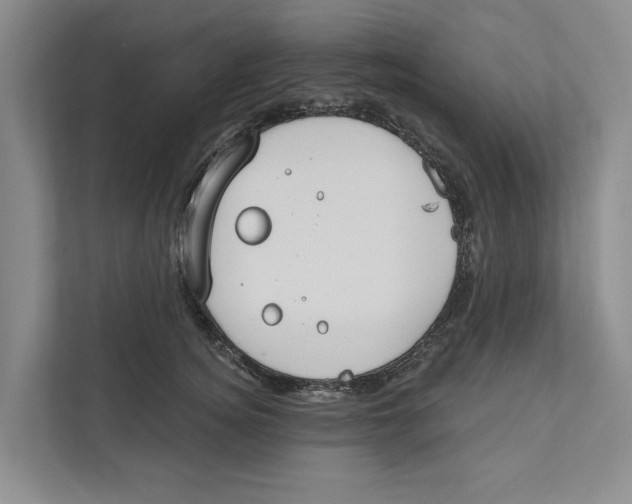 X0000111170756200907291123