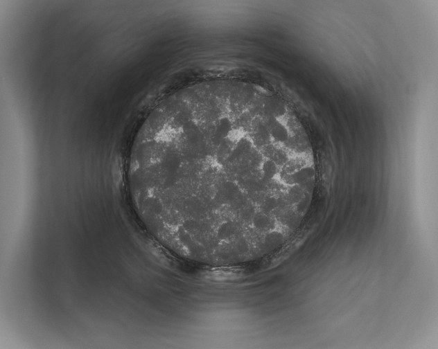 X0000111170758200907291123