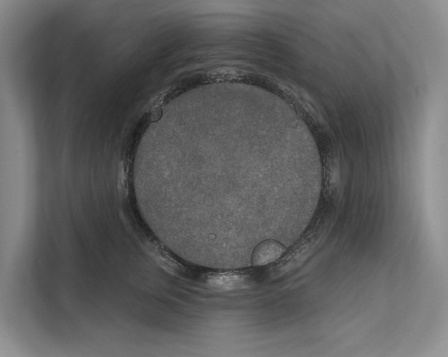 X0000111170759200907291123