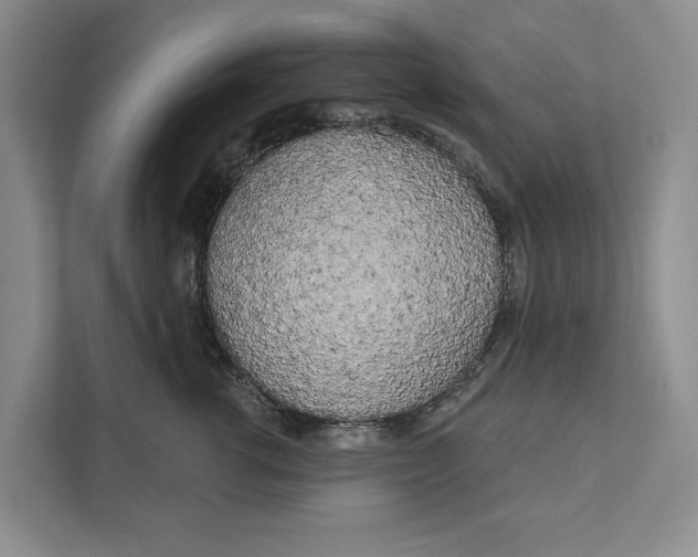 X0000111170762200907291123