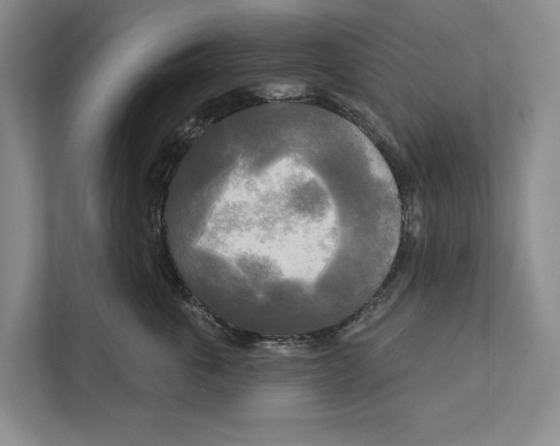 X0000111170763200907291123