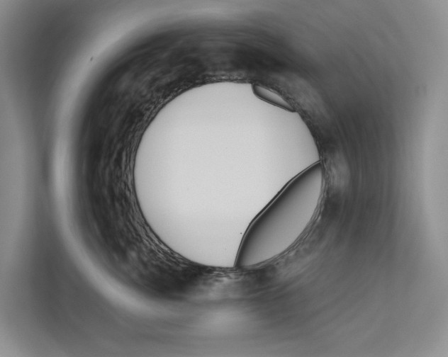 X0000111170764200907291123