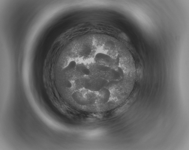 X0000111170765200907291123