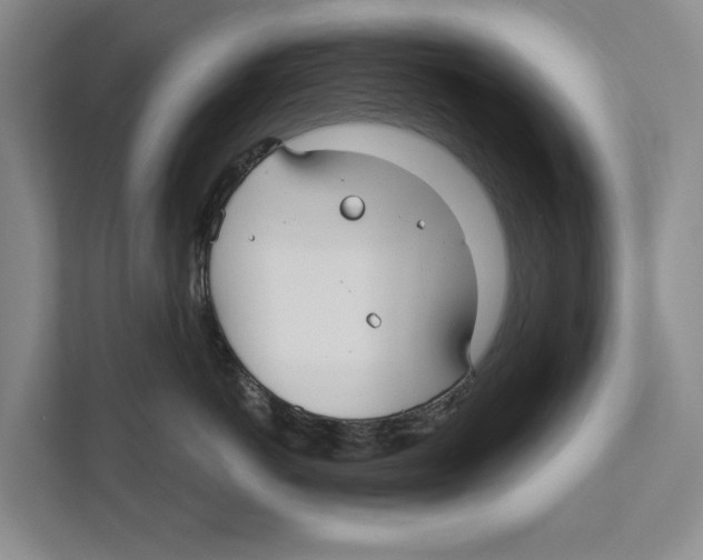 X0000111170766200907291123