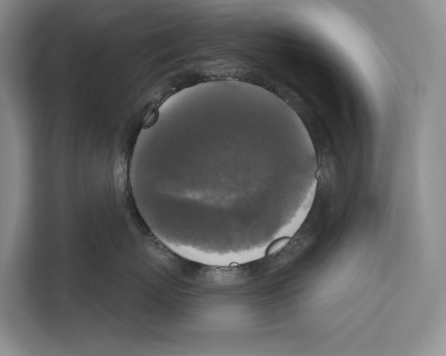 X0000111170767200907291123