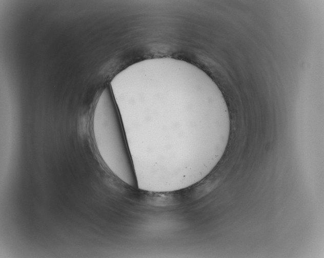 X0000111170768200907291123