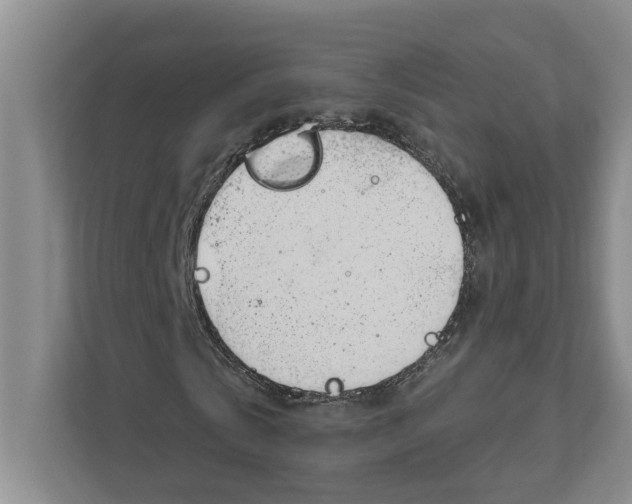 X0000111170769200907291122