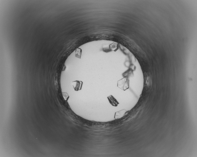 X0000111170771200907291122
