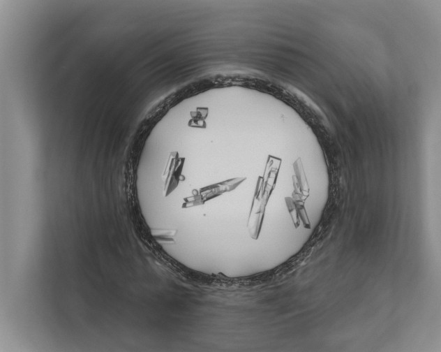 X0000111170775200907291122