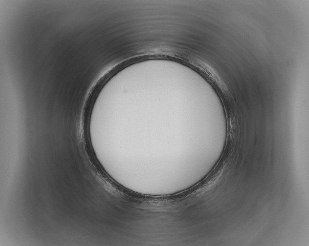 X0000111170780200907291122