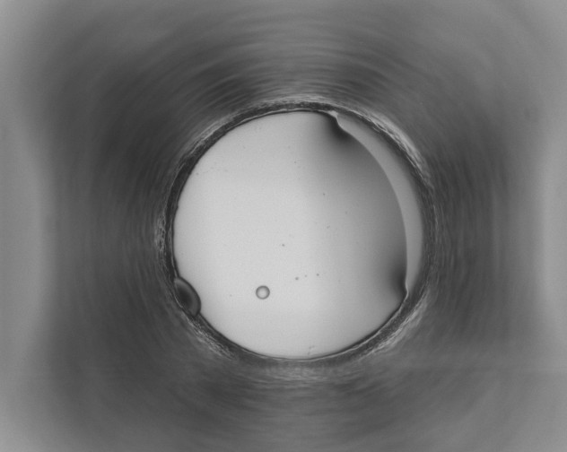 X0000111170785200907291122