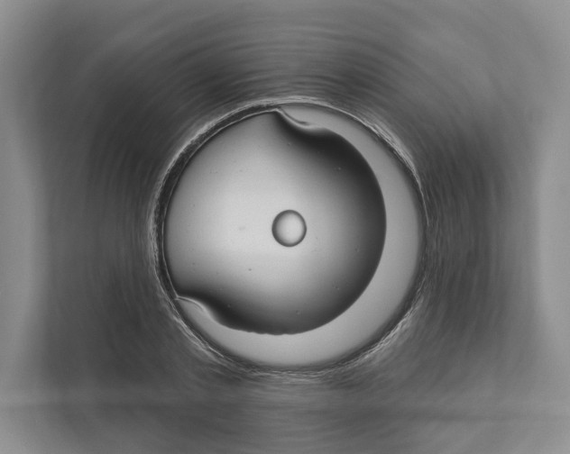 X0000111170789200907291122