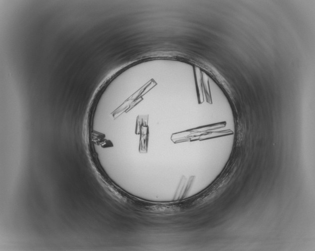 X0000111170795200907291122