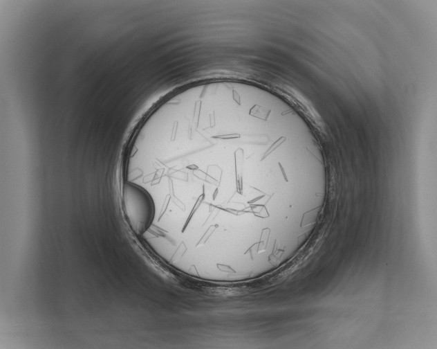 X0000111170796200907291122