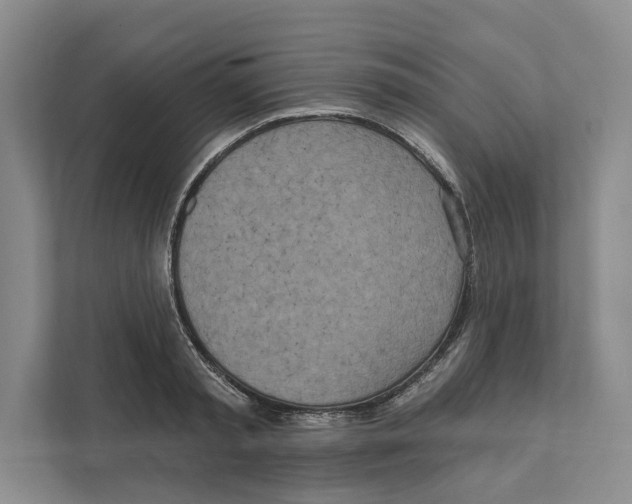 X0000111170797200907291122