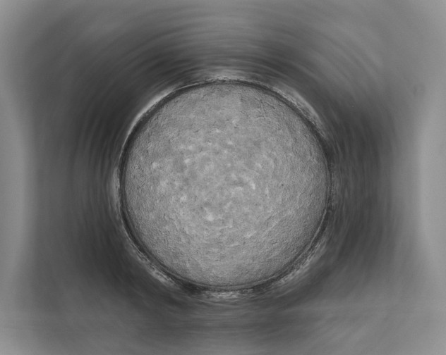 X0000111170798200907291122